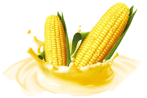 Website development for the exclusive representative of Mirasol Seed® seeds in Ukraine MIRASOL SEED